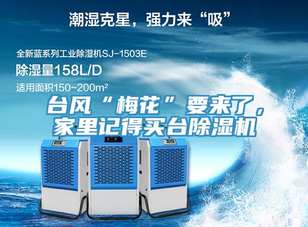 臺風“梅花”要來了，家里記得買臺除濕機
