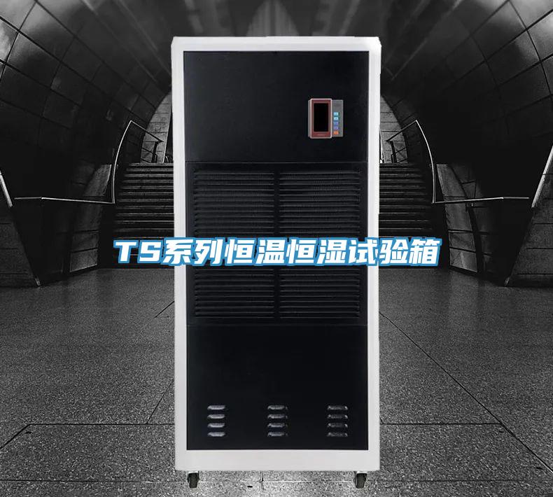 TS系列恒溫恒濕試驗箱