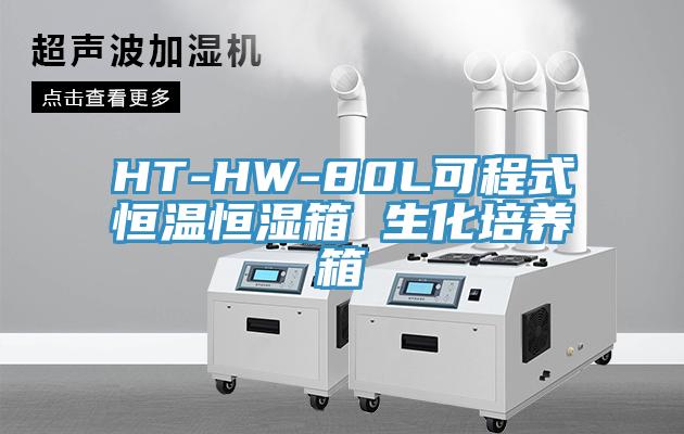 HT-HW-80L可程式恒溫恒濕箱 生化培養箱