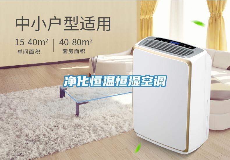 凈化恒溫恒濕空調