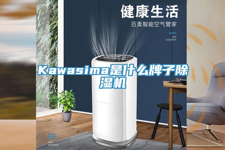 Kawasima是什么牌子除濕機(jī)