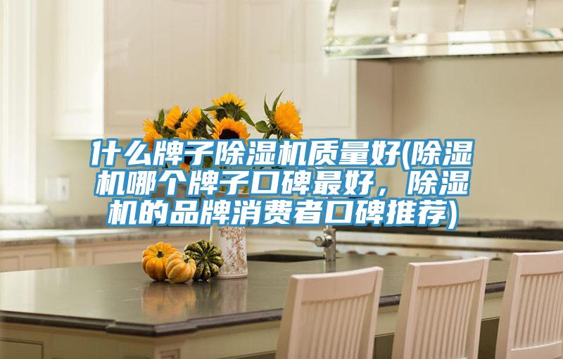什么牌子除濕機質量好(除濕機哪個牌子口碑最好,除濕機的品牌消費者口碑推薦)