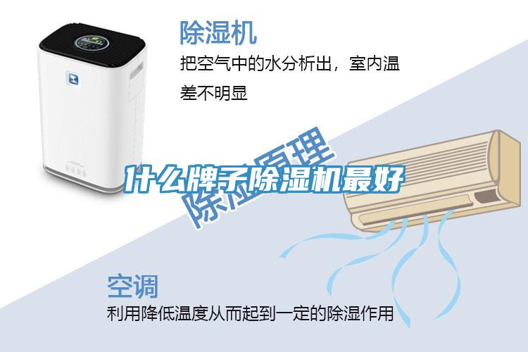 什么牌子除濕機(jī)最好