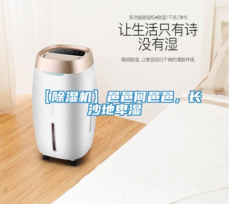【除濕機】邑邑何邑邑，長沙地卑濕