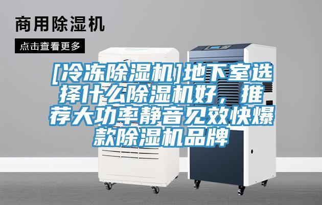 [冷凍除濕機]地下室選擇什么除濕機好，推薦大功率靜音見效快爆款除濕機品牌