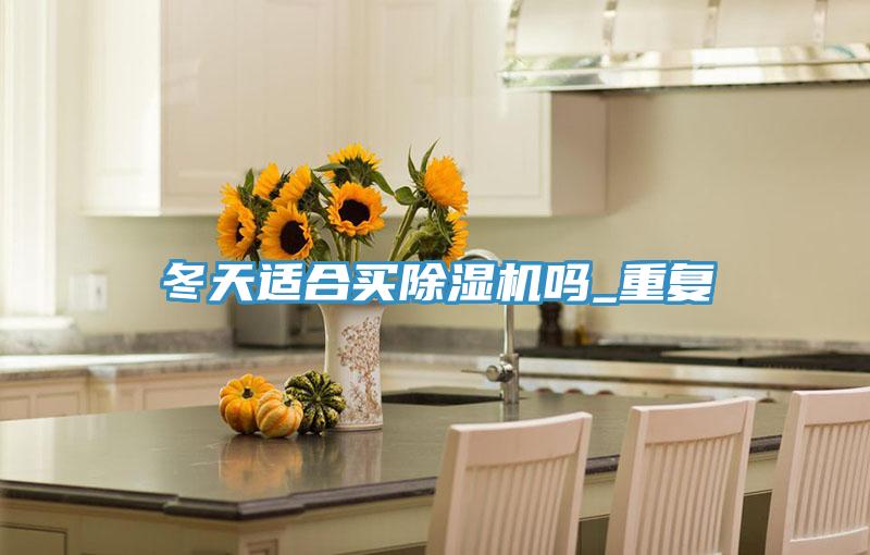 冬天適合買除濕機(jī)嗎_重復(fù)