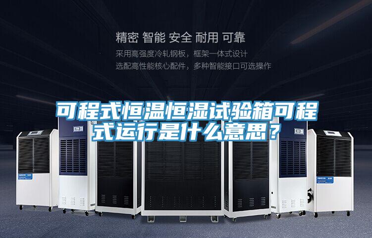 可程式恒溫恒濕試驗箱可程式運行是什么意思？