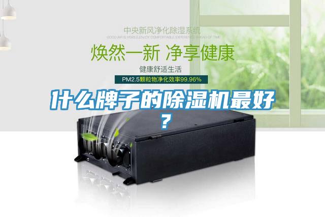 什么牌子的除濕機(jī)最好？