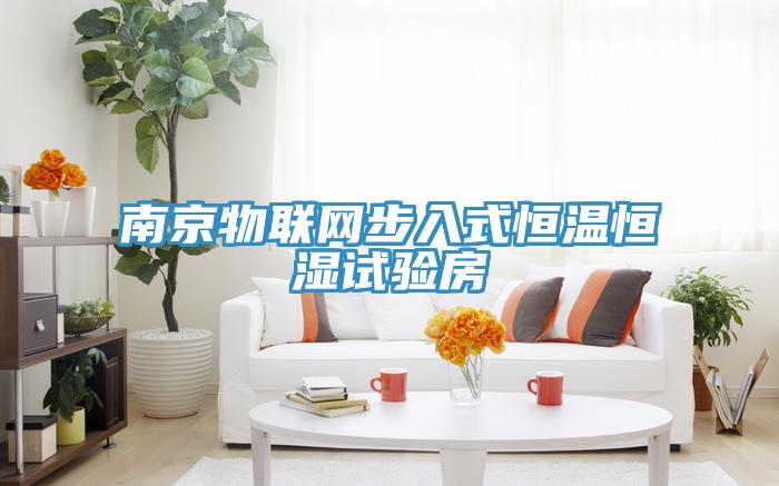 南京物聯網步入式恒溫恒濕試驗房