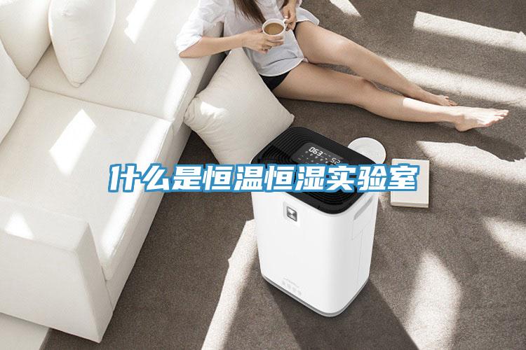 什么是恒溫恒濕實驗室