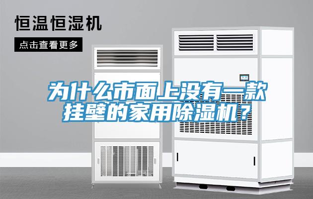 為什么市面上沒有一款掛壁的家用除濕機?