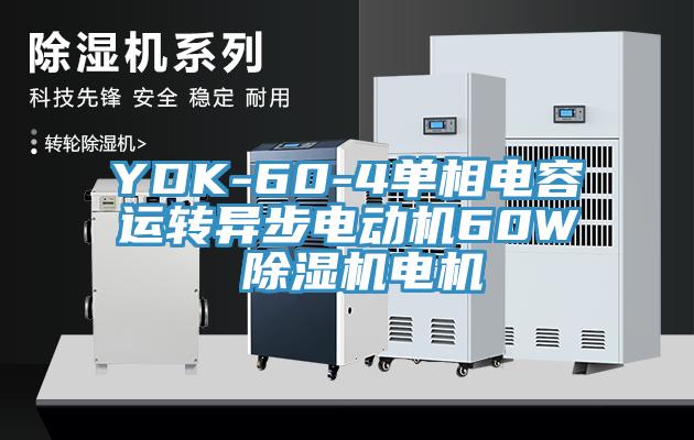 YDK-60-4單相電容運轉異步電動機60W 除濕機電機