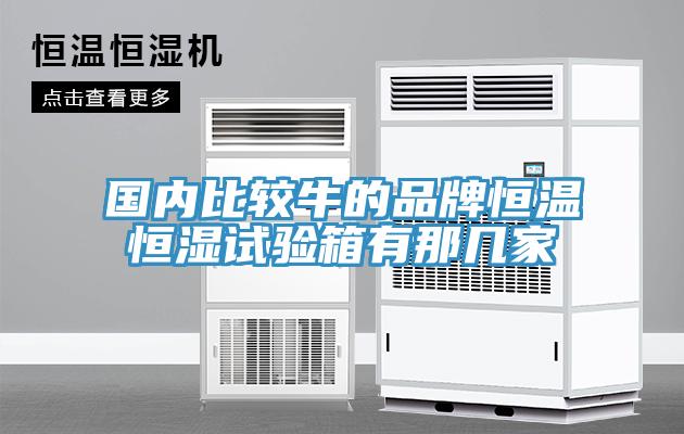 國內(nèi)比較牛的品牌恒溫恒濕試驗箱有那幾家