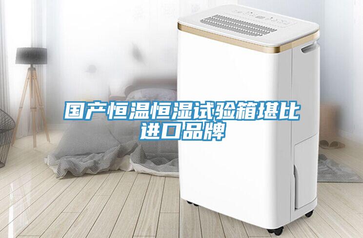 國產(chǎn)恒溫恒濕試驗箱堪比進口品牌
