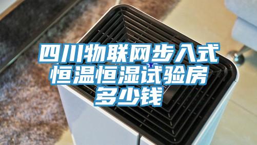 四川物聯網步入式恒溫恒濕試驗房多少錢