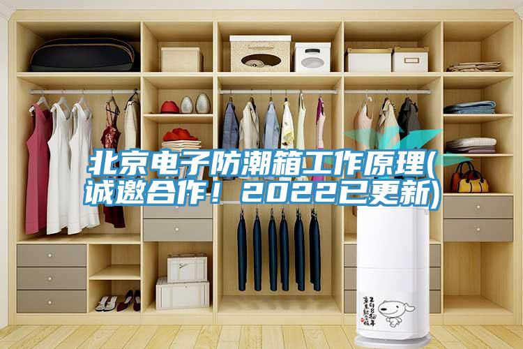 北京電子防潮箱工作原理(誠邀合作！2022已更新)