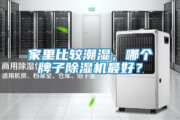 家里比較潮濕，哪個牌子除濕機最好？
