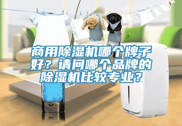 商用除濕機哪個牌子好？請問哪個品牌的除濕機比較專業？