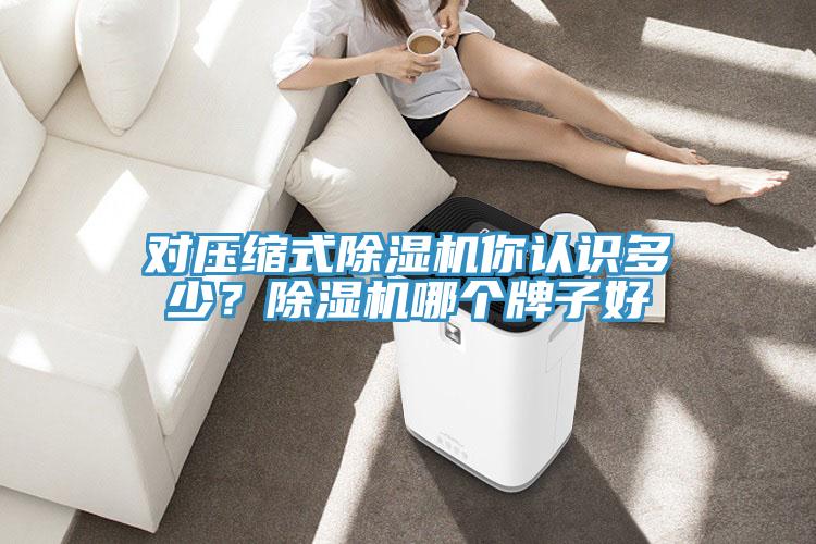對(duì)壓縮式除濕機(jī)你認(rèn)識(shí)多少？除濕機(jī)哪個(gè)牌子好