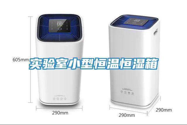 實驗室小型恒溫恒濕箱