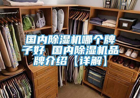 國(guó)內(nèi)除濕機(jī)哪個(gè)牌子好 國(guó)內(nèi)除濕機(jī)品牌介紹【詳解】