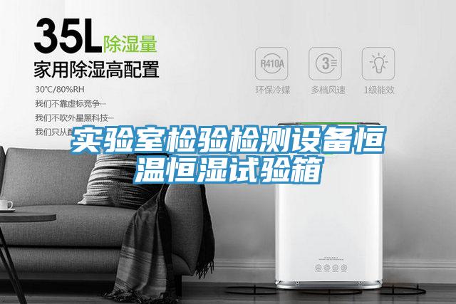 實(shí)驗(yàn)室檢驗(yàn)檢測(cè)設(shè)備恒溫恒濕試驗(yàn)箱