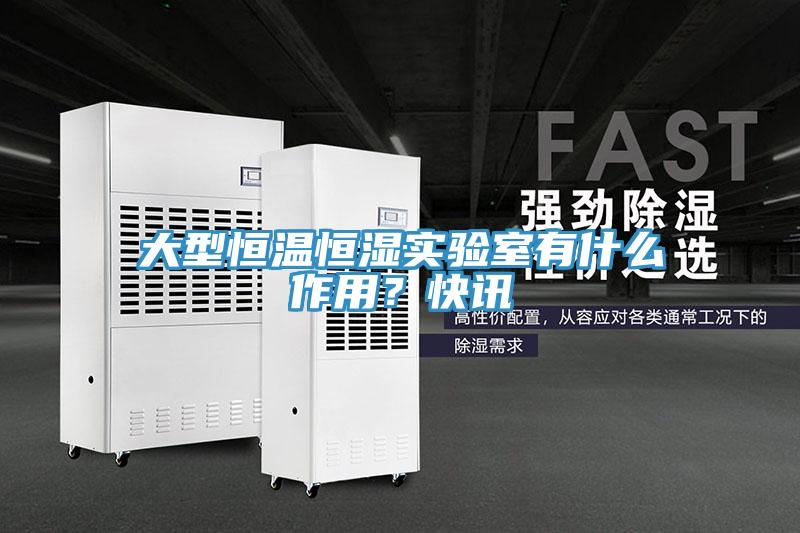 大型恒溫恒濕實驗室有什么作用?快訊