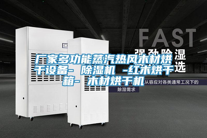 廠家多功能蒸汽熱風(fēng)木材烘干設(shè)備- 除濕機 -紅木烘干箱- 木材烘干機