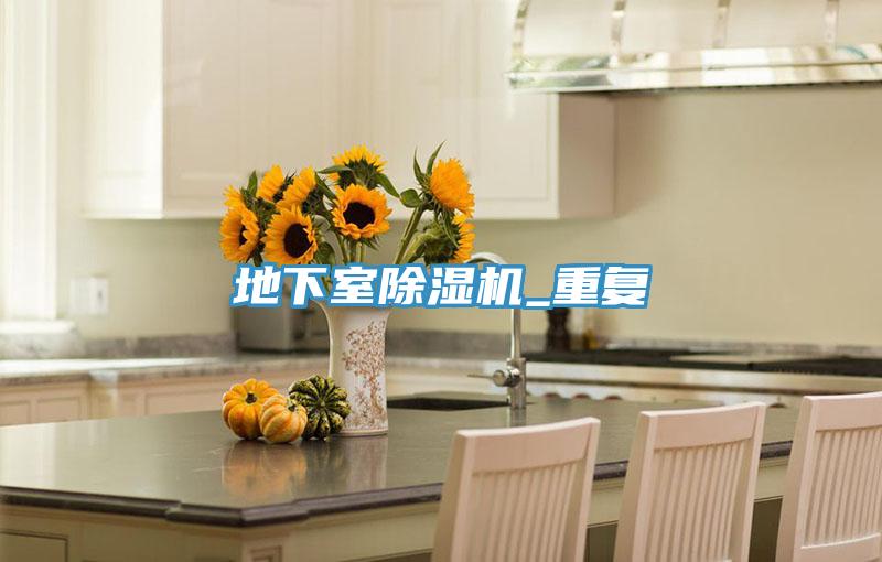 地下室除濕機_重復