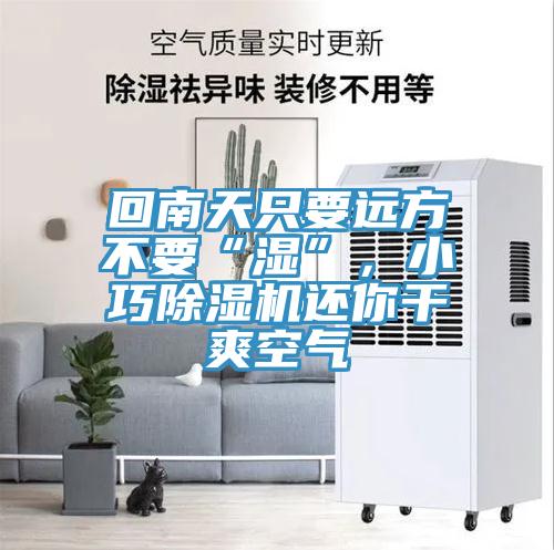 回南天只要遠方不要“濕”，小巧除濕機還你干爽空氣