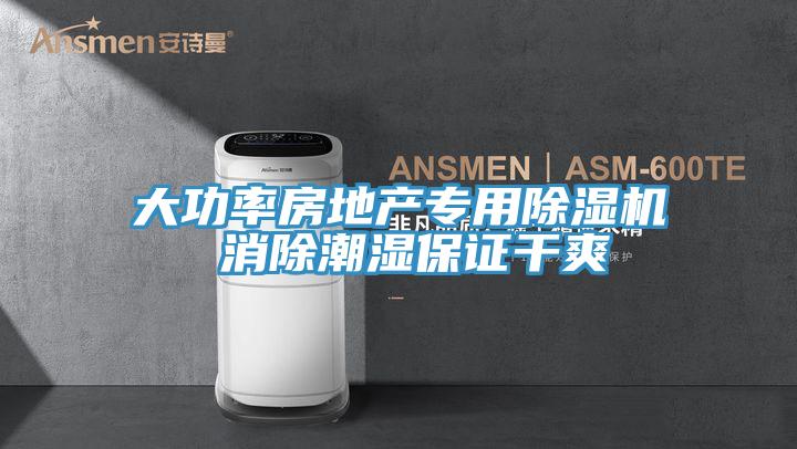 大功率房地產專用除濕機 消除潮濕保證干爽