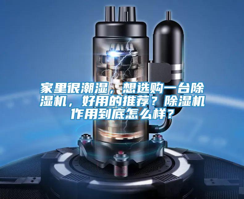 家里很潮濕，想選購一臺除濕機，好用的推薦？除濕機作用到底怎么樣？