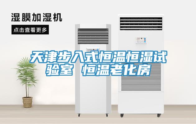 天津步入式恒溫恒濕試驗室 恒溫老化房