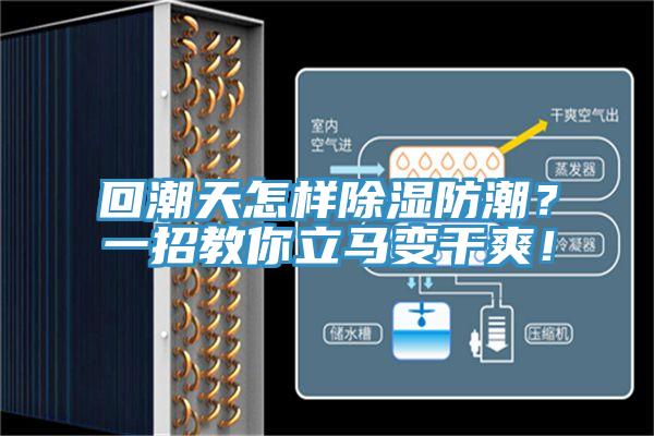 回潮天怎樣除濕防潮？一招教你立馬變干爽！