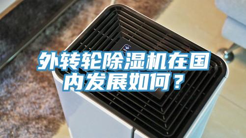 外轉(zhuǎn)輪除濕機在國內(nèi)發(fā)展如何？