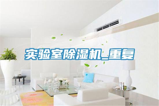 實驗室除濕機_重復