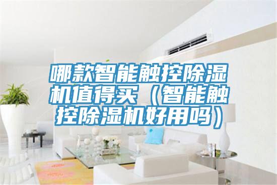 哪款智能觸控除濕機值得買（智能觸控除濕機好用嗎）