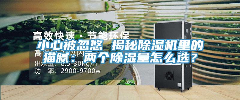 小心被忽悠 揭秘除濕機(jī)里的貓膩：兩個(gè)除濕量怎么選？
