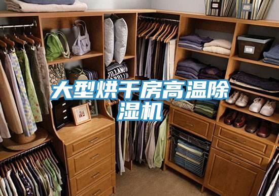大型烘干房高溫除濕機(jī)