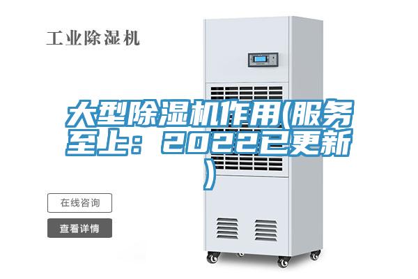 大型除濕機作用(服務至上：2022已更新)