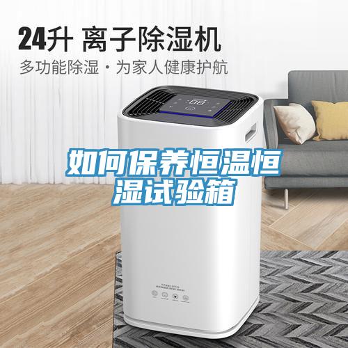 如何保養恒溫恒濕試驗箱