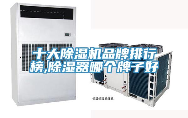 十大除濕機品牌排行榜,除濕器哪個牌子好