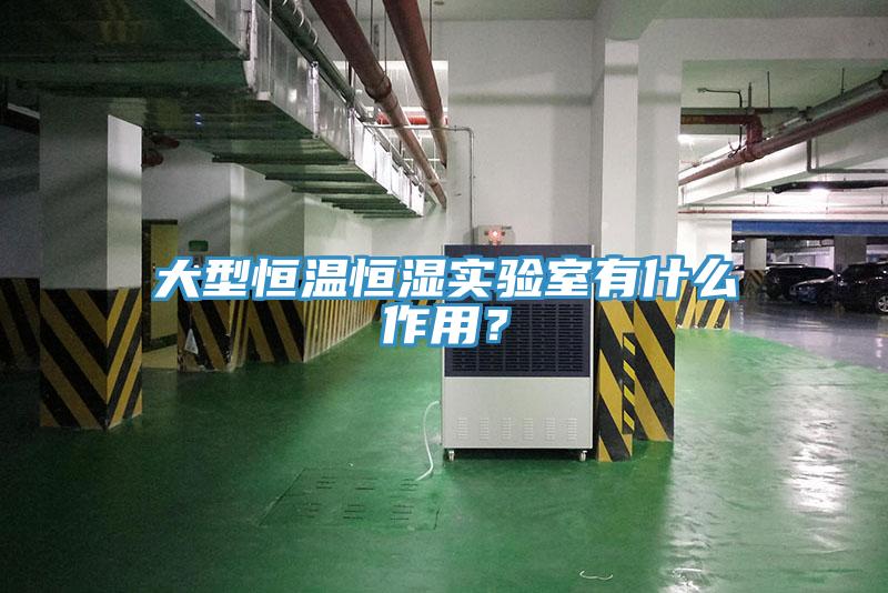 大型恒溫恒濕實驗室有什么作用?