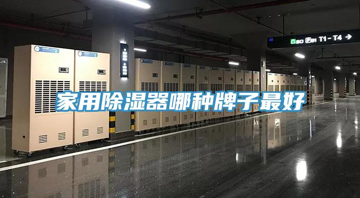 家用除濕器哪種牌子最好