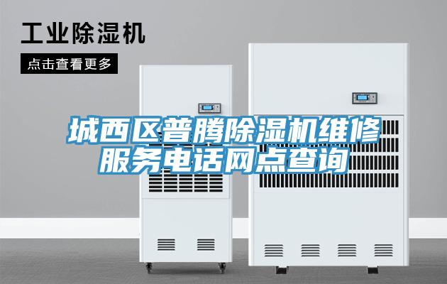城西區普騰除濕機維修服務電話網點查詢