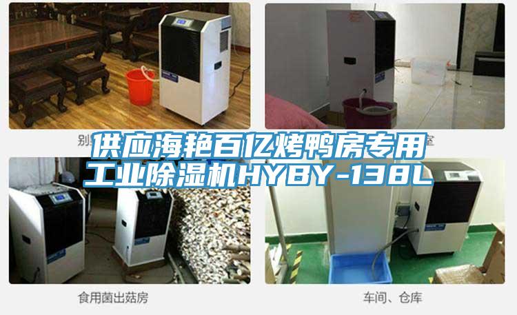 供應海艷百億烤鴨房專用工業除濕機HYBY-138L