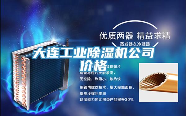 大連工業(yè)除濕機(jī)公司價(jià)格