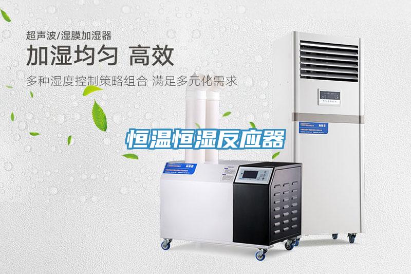 恒溫恒濕反應器