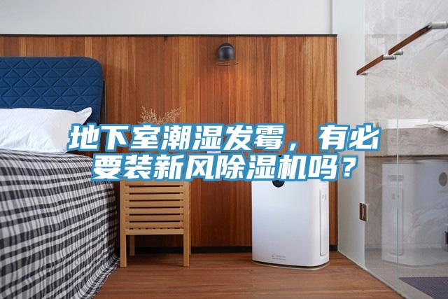 地下室潮濕發霉，有必要裝新風除濕機嗎？