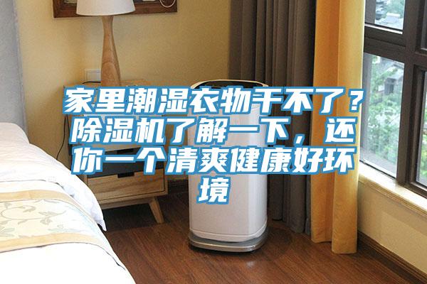 家里潮濕衣物干不了？除濕機了解一下，還你一個清爽健康好環境